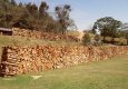 SDC12863.jpg